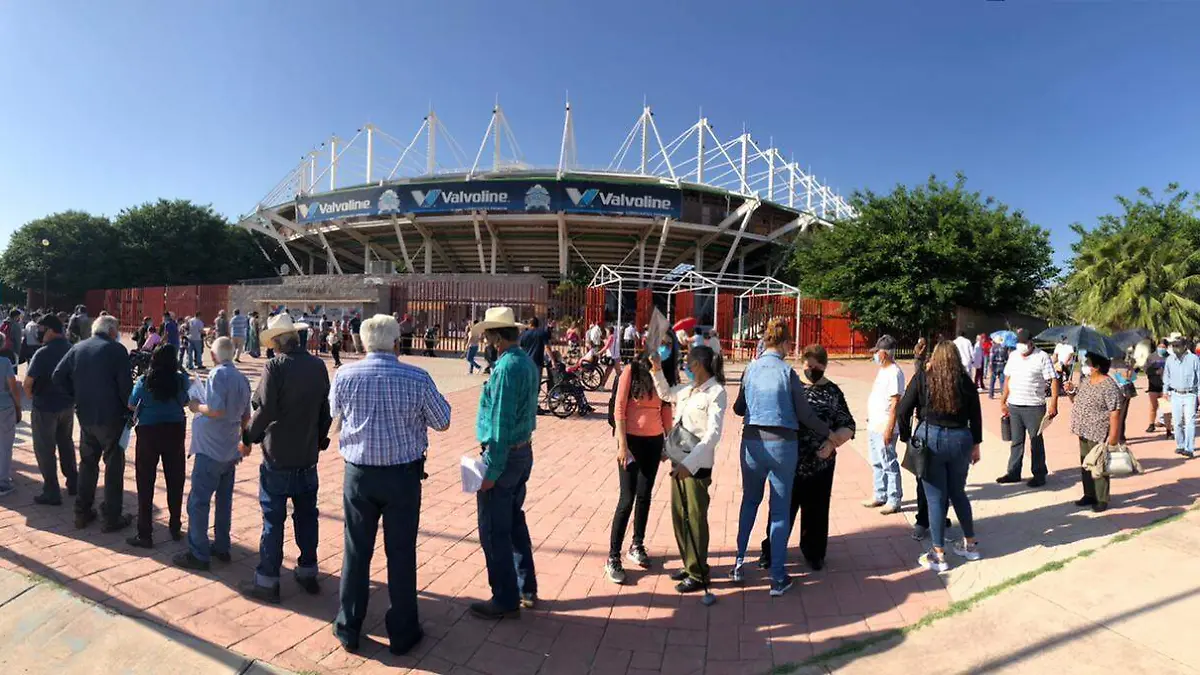 Vacuna estadio 3